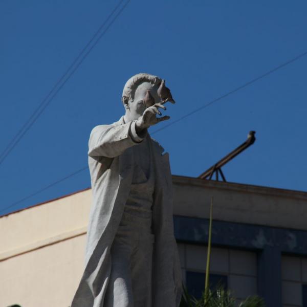 Мужик и голуби