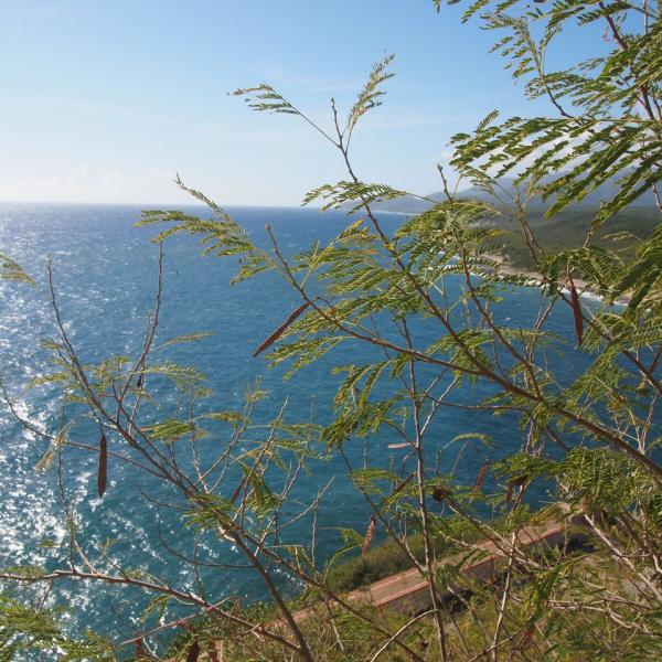 Карибское море