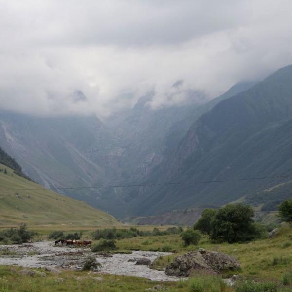 Зарисовка