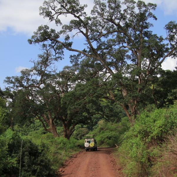 Пейзаж парка Lake Manyara