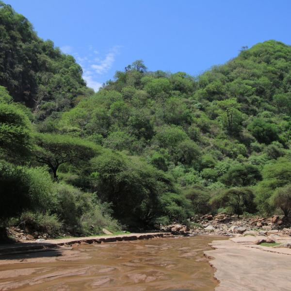 Пейзаж нацпарка Lake Manyara