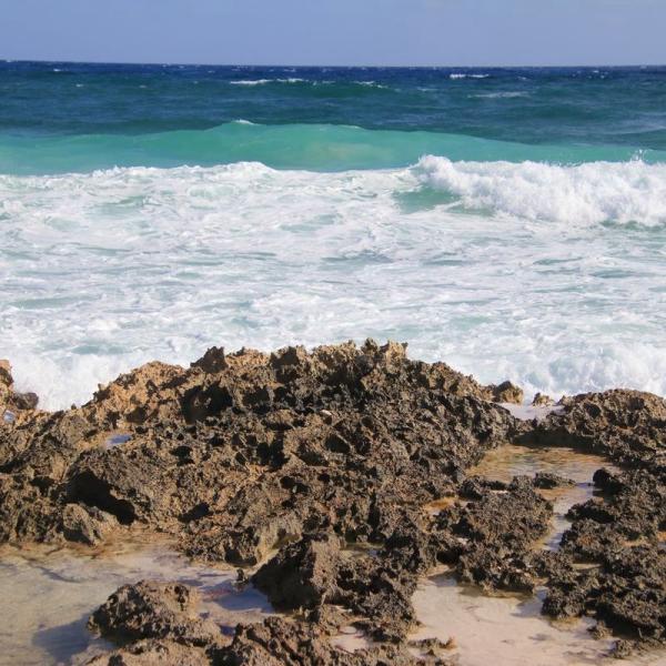 Punta Sur