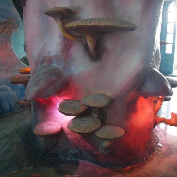 Крейзи хаус