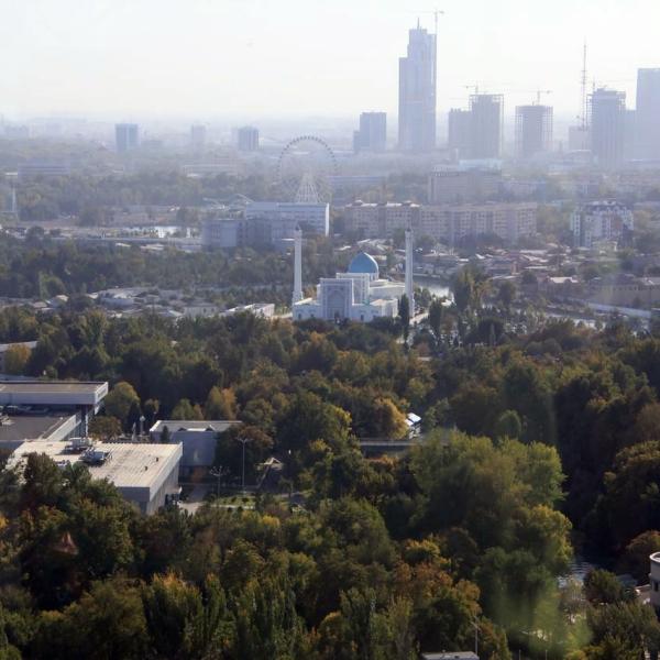 Вид со смотровой
