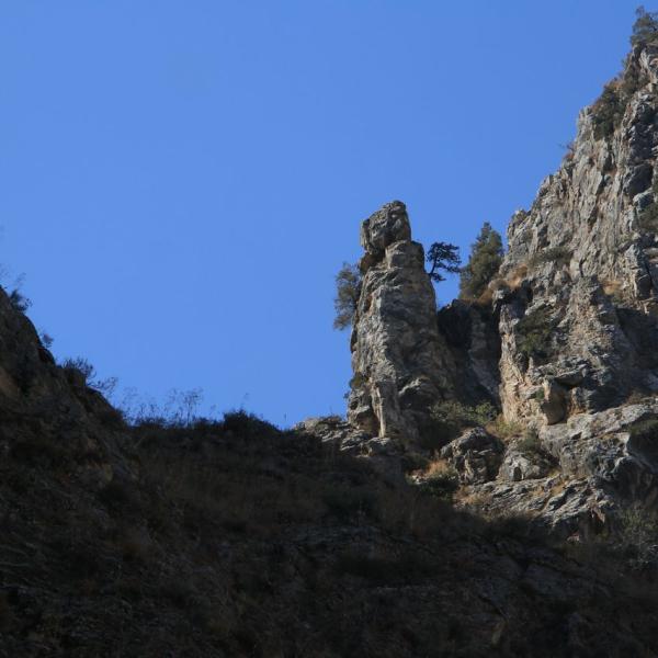 Тролли Гулькама
