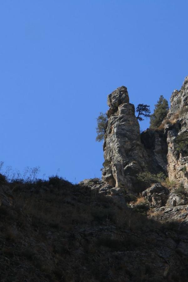 Тролли Гулькама