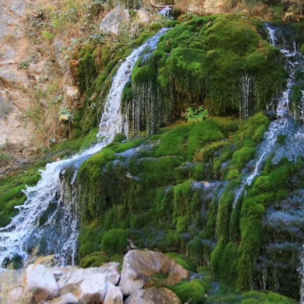 Живописнейший водопадик