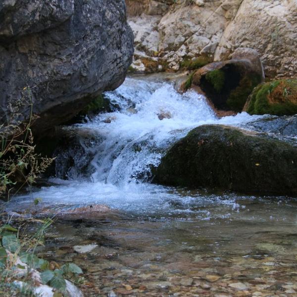 Водица