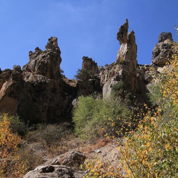 Тролли Гулькама