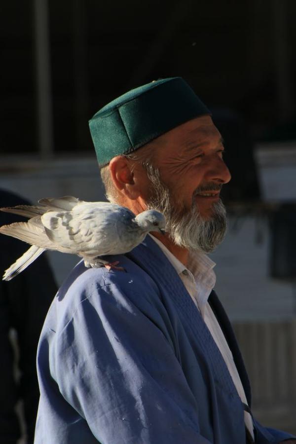 Как это делают, например, в Питере