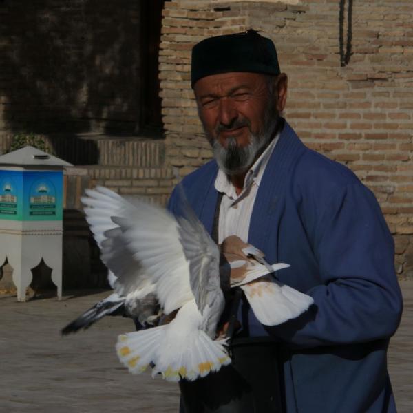 Старик и голуби