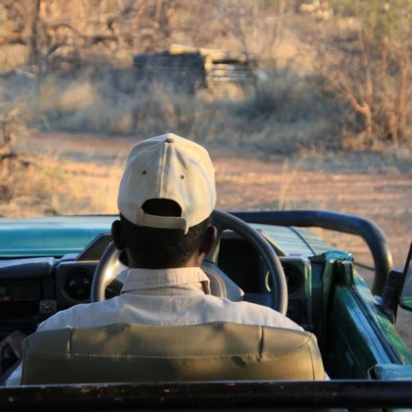Balule game reserve