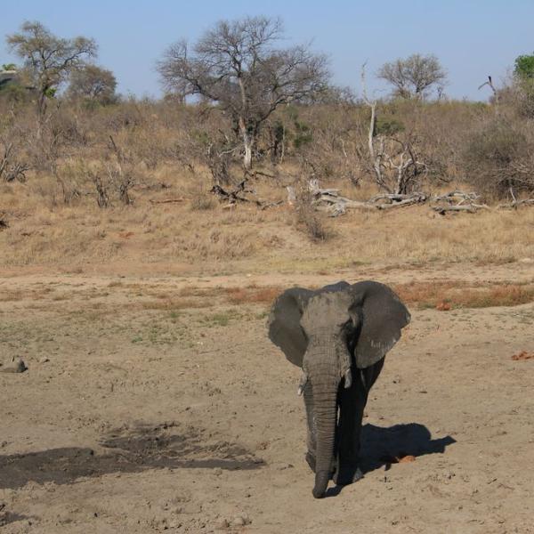 Welcome to South Africa!