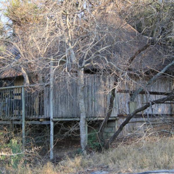 Marc's treehouse lodge
