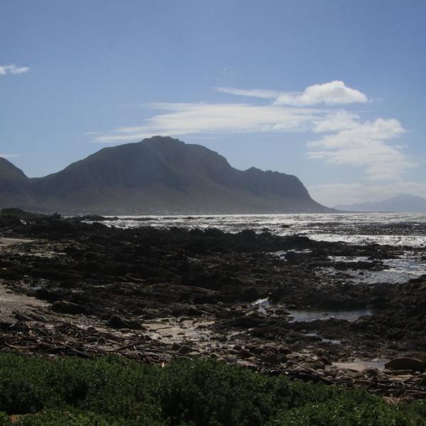Betty's bay