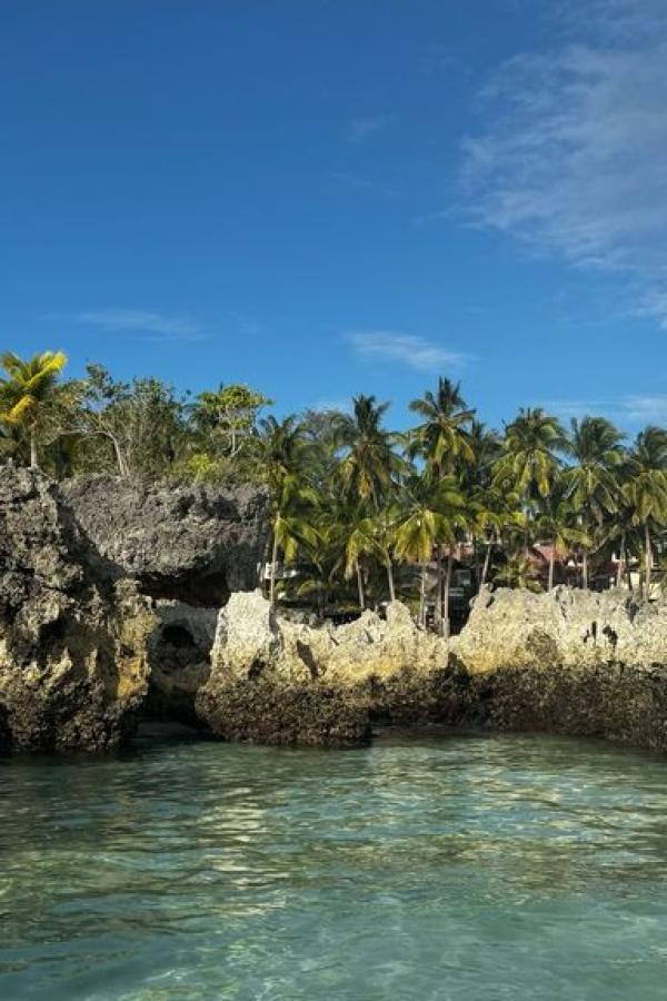 Willy's rock