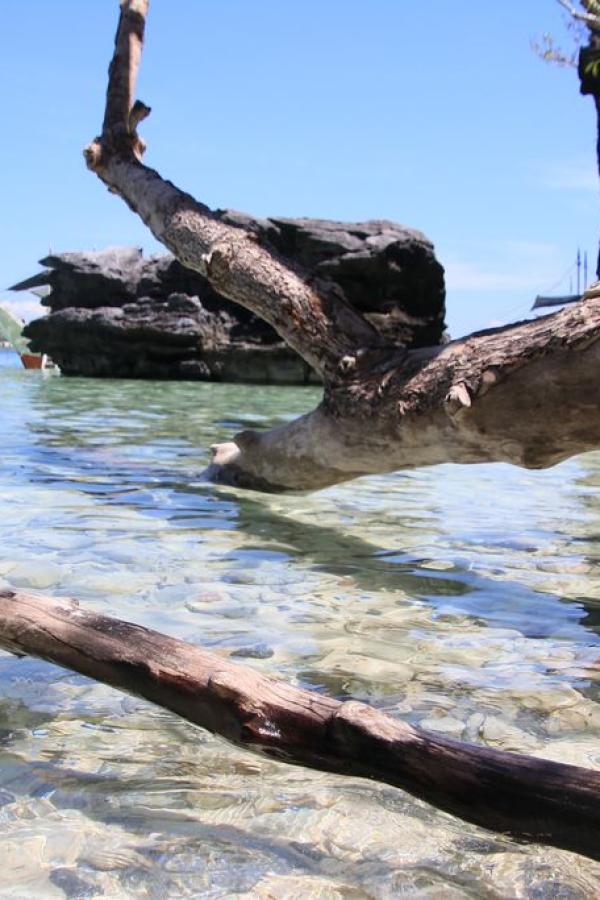 Clear waters