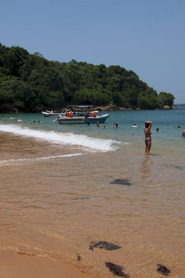 Jungle beach